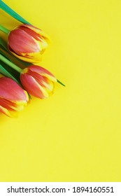 Tulips on yellow background. Greeting card. Mother's day. Flat lay. Place for text. vertical photo.8 March Happy Women's Day