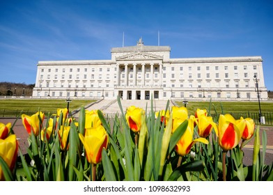 Tulips Outside Parliament Buildings, Stormont, Belfast, Home Of The Northern Ireland Assembly.