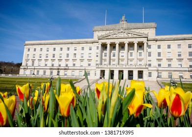 Tulips Outside Parliament Buildings, Stormont, Belfast, Home Of The Northern Ireland Assembly.