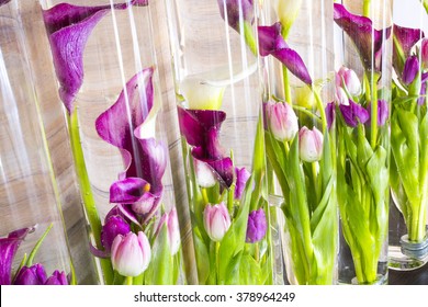 Tulips In A Vase Glass Submerged In Water