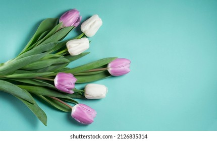 Tulips white purple flowers on turquoise background. Womens day greeting card template - Shutterstock ID 2126835314