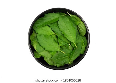 Tulsi Or Holy Basil Leaf In Black Bowl Isolated On White Background Top View. Tulsi Is Used In Ayurvedic Medicine.