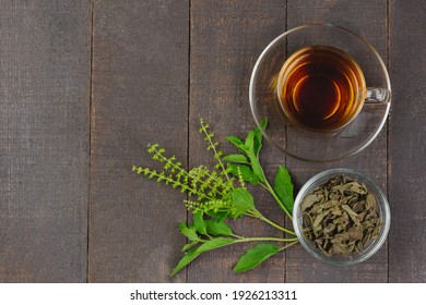 Tulsi or holy basil tea in transparent glass cup with fresh tulsi leaf and dried leaf in transparent glass bowl on wooden background, top view. Ayurvedic medicine in India. - Powered by Shutterstock