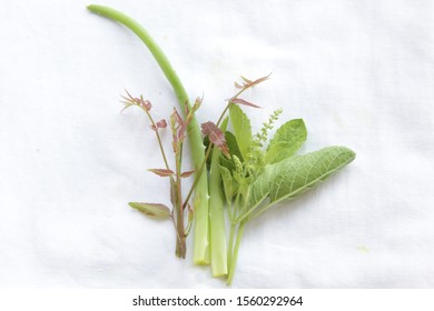 Tulsi (ocimum Sanctum), Neem (Azadirachta Indica) And Aloe (Aloe Vera)