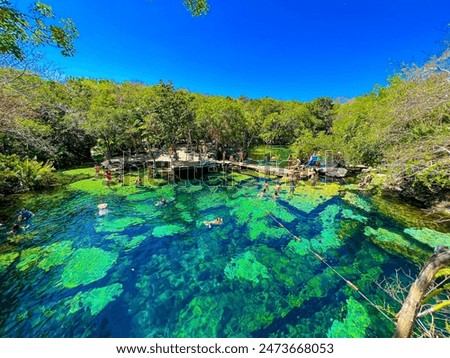 Tulum Cenotes That Are Worth a Visit, Cenotes around tulum and playa del carmen that deserve a visit at least once. Mexico world tourist place