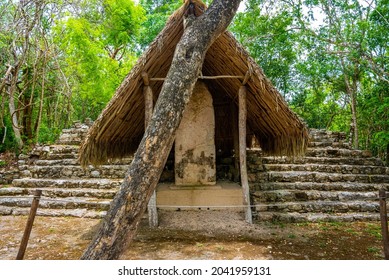 Tulum, Mexico. May 25, 2021. Nohoch Mul Pyramid In Coba. Pyramid And Stele Stone Slab With Stone Steps In The Maya Ruins Of Coba