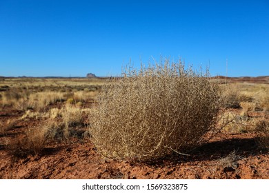 Tumble Weed On The Dessert Utah