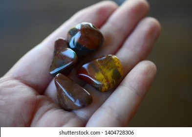 Tumbled petrified wood stones being held in woman's hand. Tumbled healing crystal, fossilized wood stone, in natural lighting macro photography. Low exposure photo of crystals. 