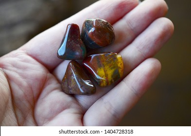 Tumbled petrified wood stones being held in woman's hand. Tumbled healing crystal, fossilized wood stone, in natural lighting macro photography. Low exposure photo of crystals. 