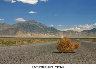 Tumbleweed