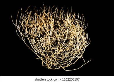 Tumbleweed on black background