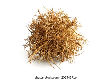 Tumbleweed on white background
