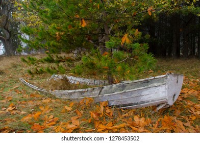 Tumbo Island, Gulf Islands National Park Reserve, British Columbia, Canada