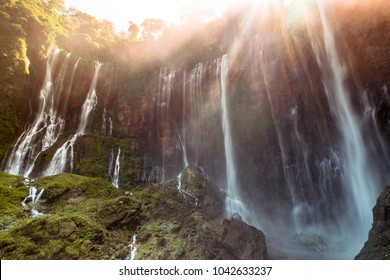 Tumpak Témájú Képek Stockfotók és Vektorképek Shutterstock