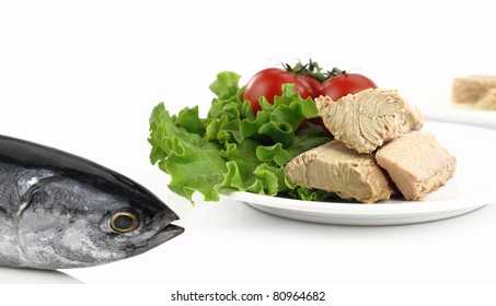 Tuna Fish In Front Of A Plate With Salad