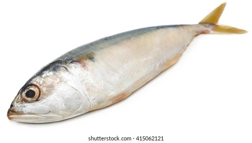 Tuna Fish Over White Background