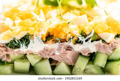 Tuna Salad Cut: Rows Of Cucumbers, Tuna With Mayonnaise, Herbs And Hard Boiled Eggs. Tuna Salad Macro. Food Background.