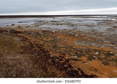 Tundra Landscape, Churchill, Manitoba, Canada