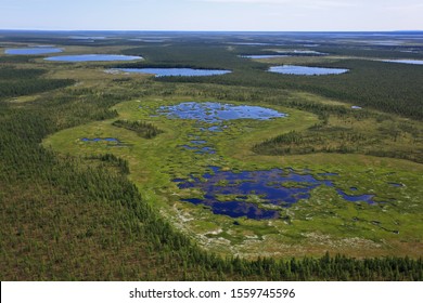 Tundra Landscape In Summer, Taymyr Peninsula, Aerial View
