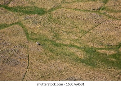 Tundra Landscape In Summer, Taymyr Peninsula, Aerial View
