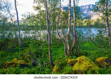 Tundra Mountain Landscape With A Mountain Lake In The Khibiny Mountains