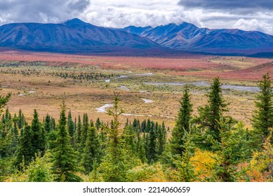 Tundra And Mountains Along The Savage River In Denali National Park, Alaska