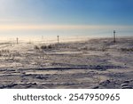 Tundra of the Pechora coal basin, Gulag political prisoners territory of USSR