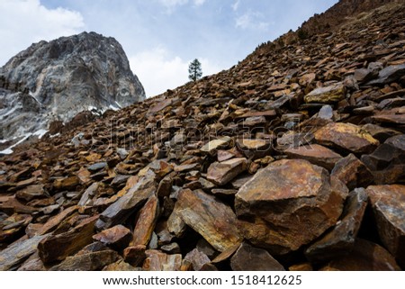 Tungsten in the mountains, near a mining site in the Sierra Nevada mountains.