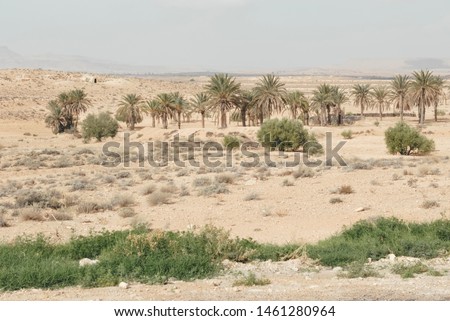 Tunisian desert landscape. Old ruins of a building, Ksar Ouled Debbab, Tataouine, Tunisia. Starwars film shooting place