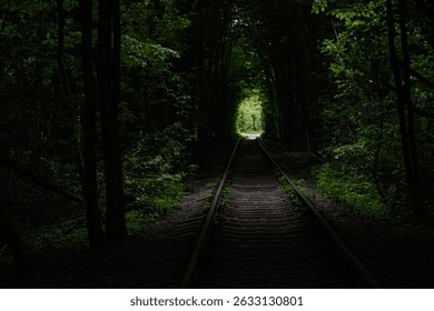 Tunnel of Love. Overgrown forest railway track surrounded by trees, forming a serene nature tunnel. - Powered by Shutterstock - Get 15% off with code: PIKWIZARD15