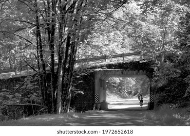 Tunnel On Cedar River Bike Trail BW                              