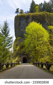 Tunnel On Historic Columbia River Highway