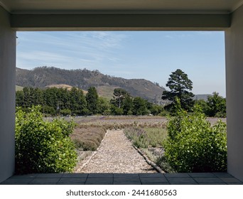 Tunnel through a building with access to a courtyard, garden, outside. Nature of South Africa. View of nature through the frame. Walking paths, vegetation and bushes with green leaves