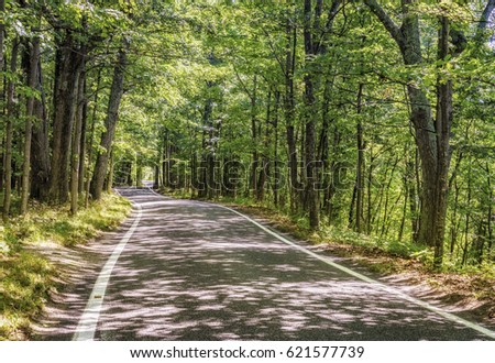 tunnel trees scenic heritage road near stock photo edit now