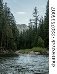 Tuolumne River Bends Around Pine Forests in Pate Valley of Yosemite