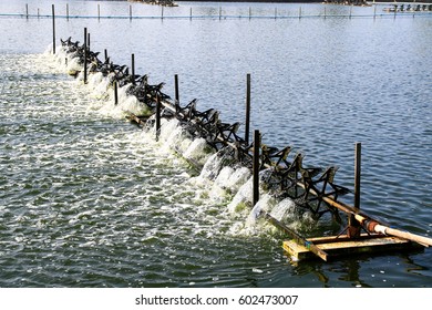 Turbine Baler In The Tiger Prawn Farm 