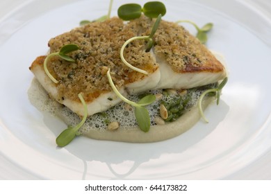 Turbot Fillet