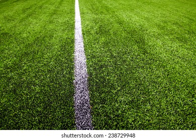 turf grass