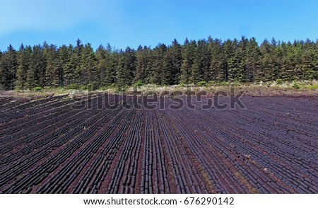 Turf on Slieveanorra Mountain Glenariffe Waterfoot  Co.Antrim Northern Ireland near the gles of antrim green glens 2017