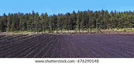 Turf on Slieveanorra Mountain Glenariffe Waterfoot  Co.Antrim Northern Ireland near the gles of antrim green glens 2017