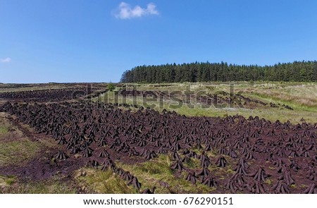 Turf on Slieveanorra Mountain Glenariffe Waterfoot  Co.Antrim Northern Ireland near the gles of antrim green glens 2017