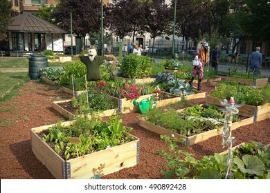 Turin, Italy - September 29, 2016: Urban Horticulture - Community Garden In Central Square Of The City