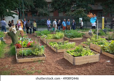 Turin, Italy - September 29, 2016: Urban Horticulture - Community Garden In Central Square Of The City