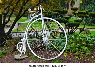 Turin, Piedmont, Italy - October 29 2019: A Small White Cat Tries To Get On The Too High Saddle Of An Old Bike, In The Center Of Turin, Piedmont, Italy