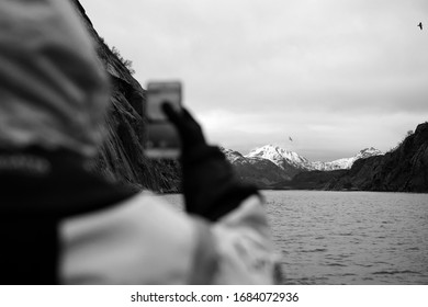 Turist Taking Pictures At Artic Sea