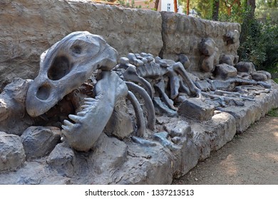 Turkey, Goynuk - 22.08.2017. Dinopark. Model Of A Dinosaur Skeleton