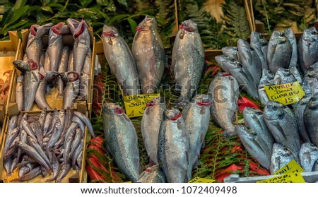 Turkey, Istanbul, 20,03,2018  Various fish on the counter fish shop in Istanbul.