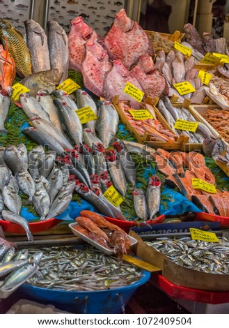 Turkey, Istanbul, 20,03,2018  Various fish on the counter fish shop in Istanbul.