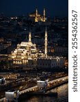 Turkey, Istanbul, the mosques in the city in the night from Galata Tower.