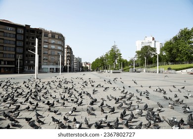 Turkey, Lockdown, Square, Pigeons, Street, Quarantine, feed, birds, 